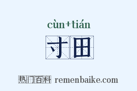 寸田是什么意思的图片